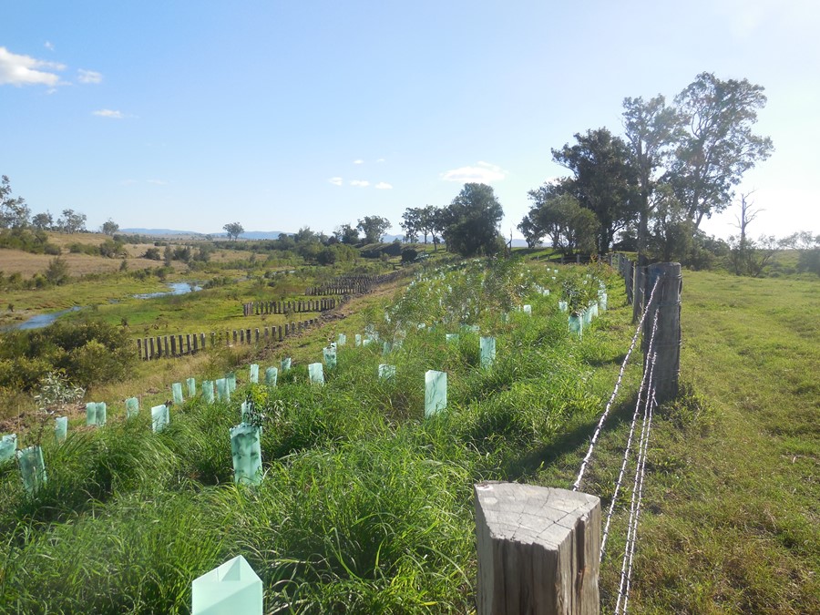 Site progress shot after seasonal rainfall